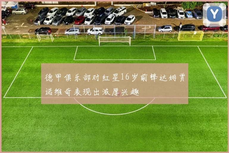 德甲俱乐部对红星16岁前锋达姆贾诺维奇表现出浓厚兴趣