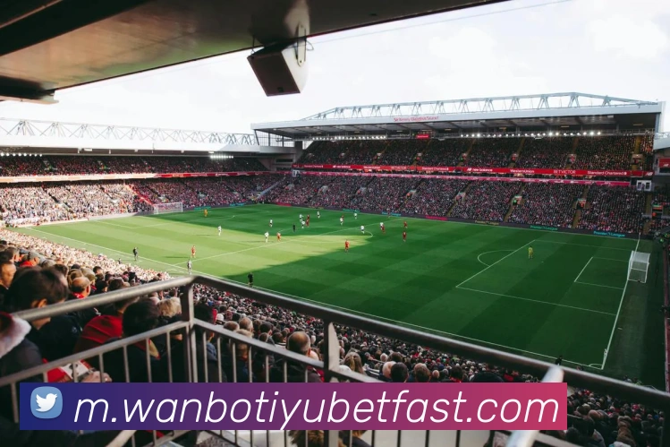 多媒体互动体验