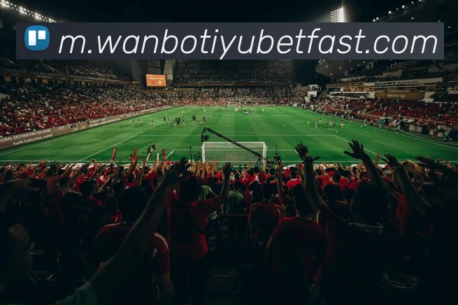 万博体育APP 高清赛事图